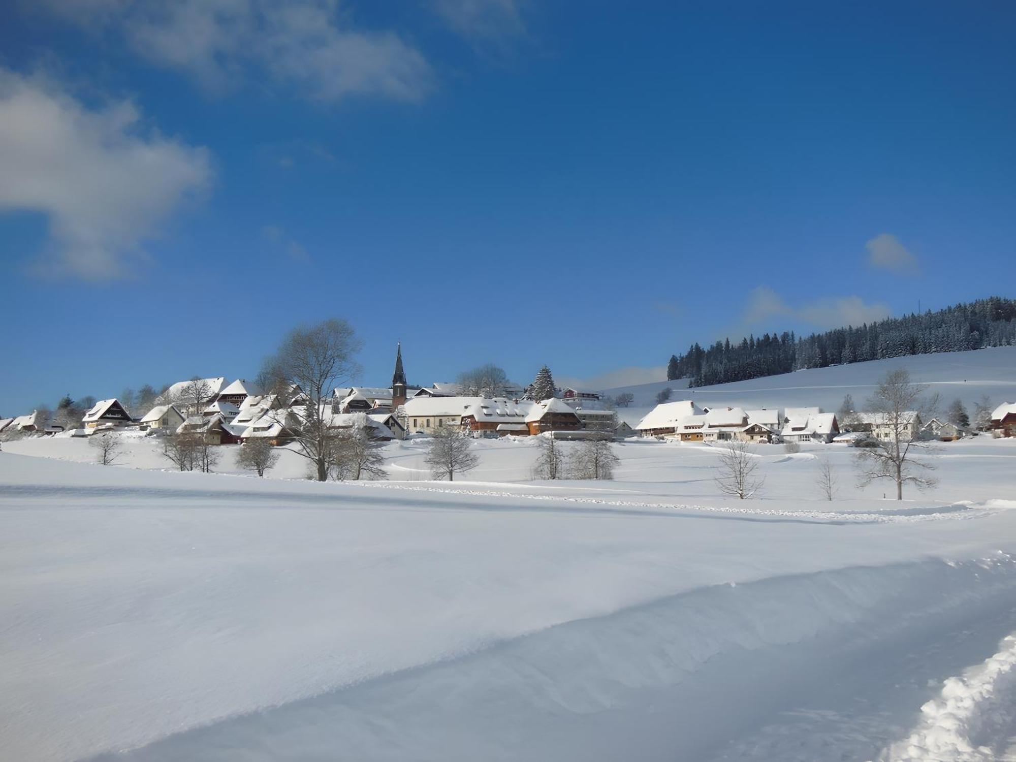 Ferienhaus Kaltenbach Титизее-Нойштадт Экстерьер фото