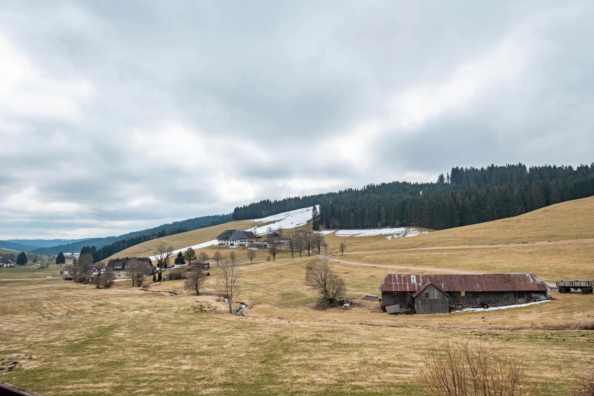 Ferienhaus Kaltenbach Титизее-Нойштадт Экстерьер фото