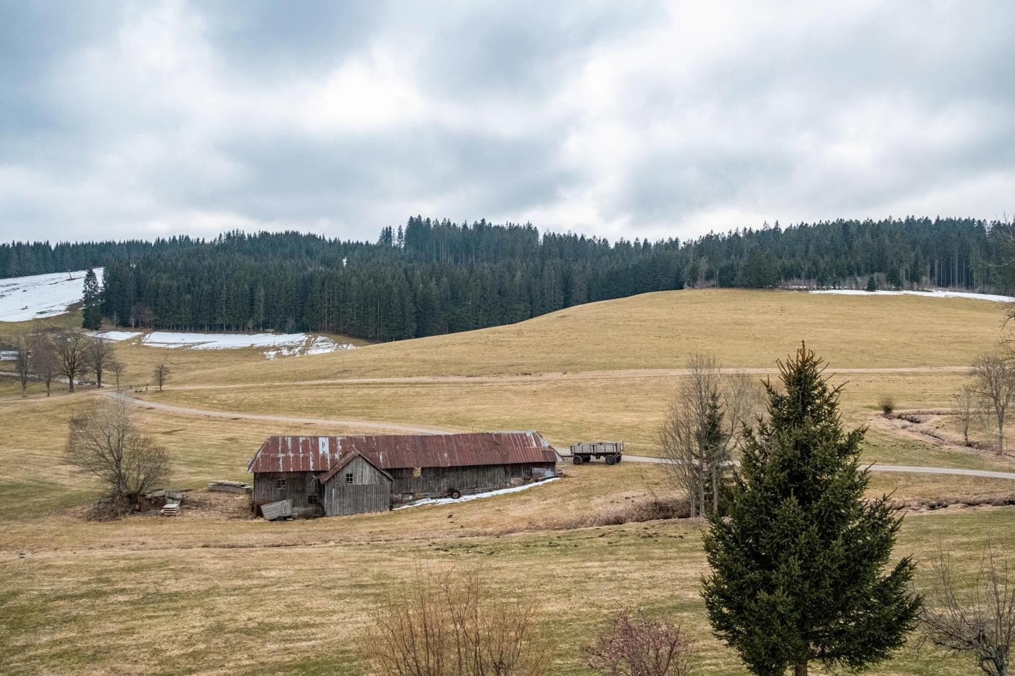 Ferienhaus Kaltenbach Титизее-Нойштадт Экстерьер фото