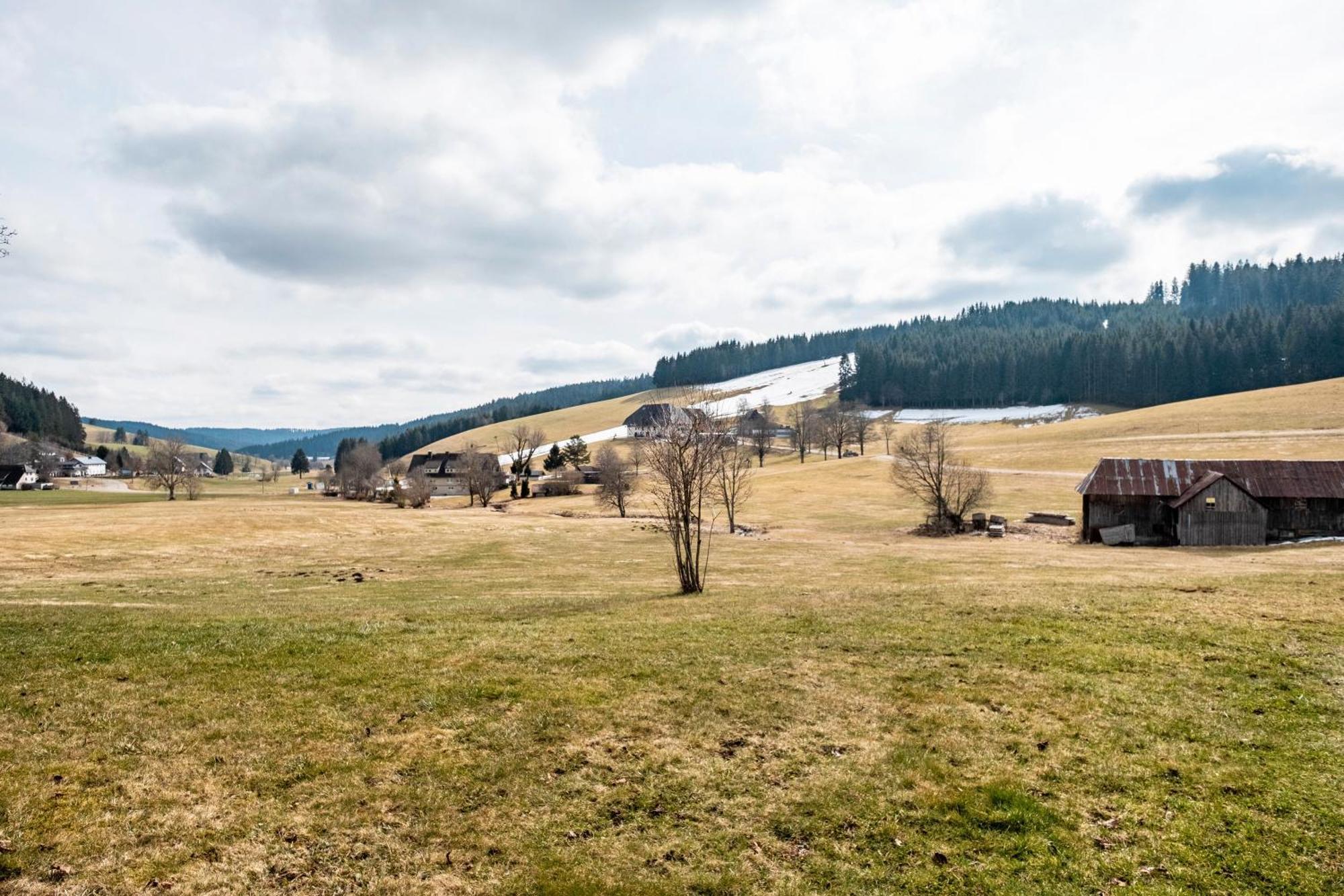 Ferienhaus Kaltenbach Титизее-Нойштадт Экстерьер фото